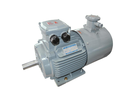 YFBBP 系列粉尘防爆变频调速三相异步电动机