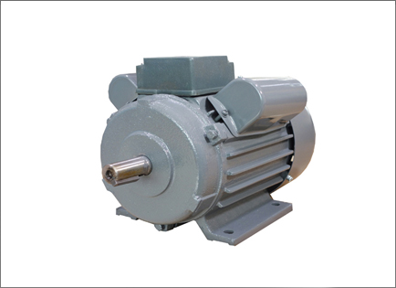 YL系列双值电容异步电动机