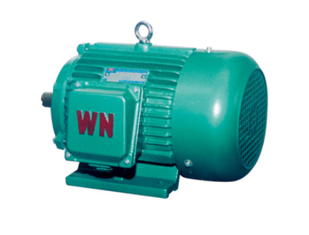 威海电机-三相异步电动机