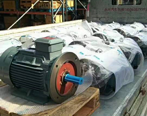 烟台电机皖南电机销售