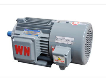 皖南YVF2系列变频调速电机