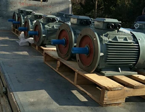 杰瑞定制变频电机准时交货