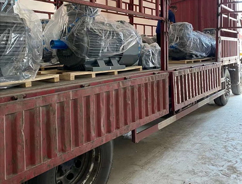 山东烟台皖南电机